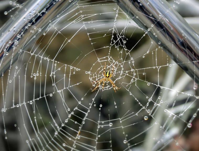 Crawlability Indexierbarkeit Seitenarchitektur